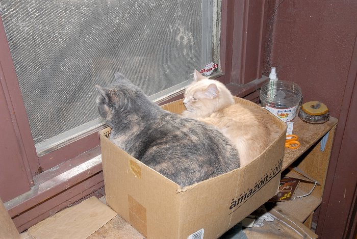 ddb 20070316 010-003