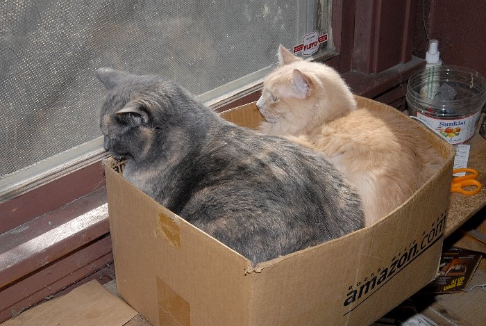 ddb 20070316 010-004