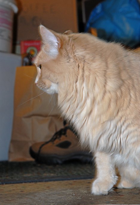 ddb 20070323 010-004