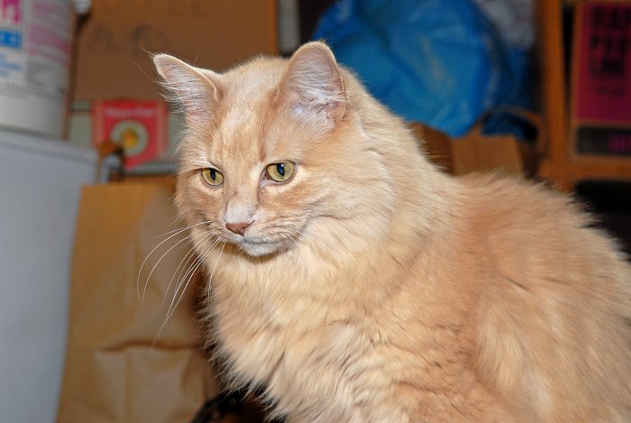 ddb 20070323 010-005