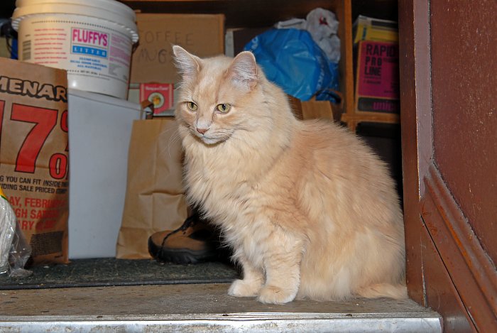 ddb 20070323 010-007