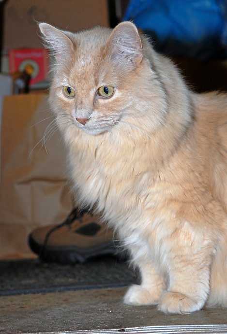 ddb 20070323 010-009