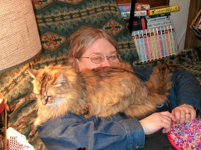 ddb 20070409 020-004