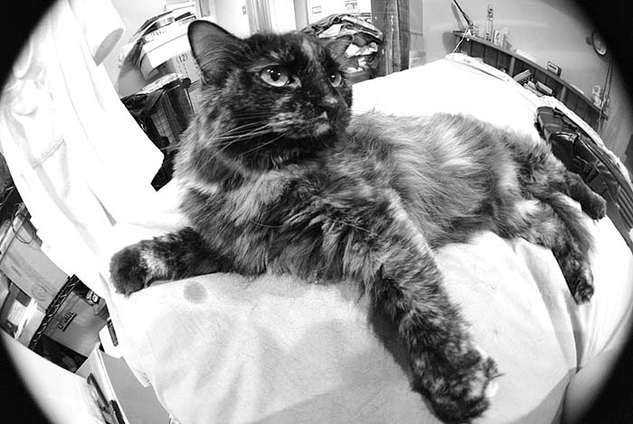 ddb 20070529 010-011