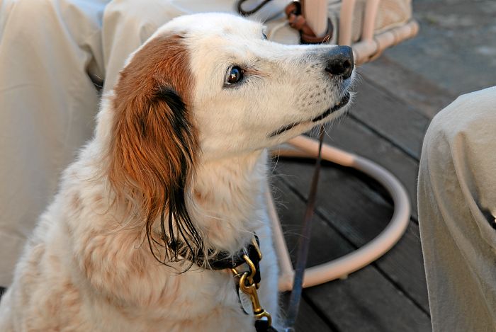 ddb 20070505 010-051