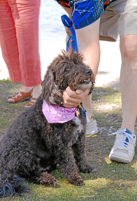 ddb 20070506 010-005