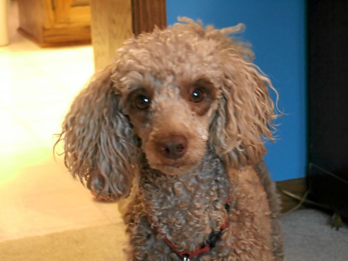 ddb 20070518 010-055