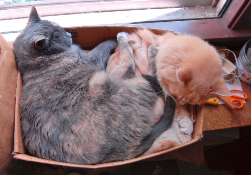 ddb 20070629 010-003