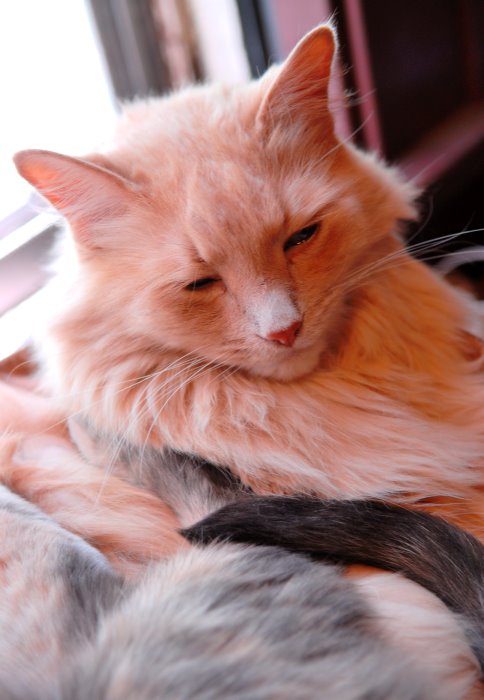 ddb 20070629 010-004