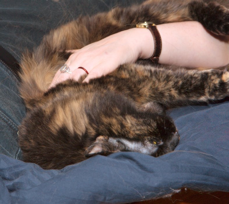 ddb 20070728 010-012