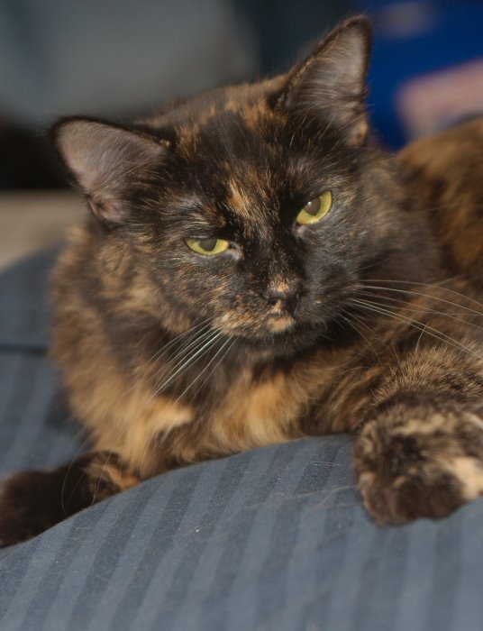 ddb 20070901 010-004