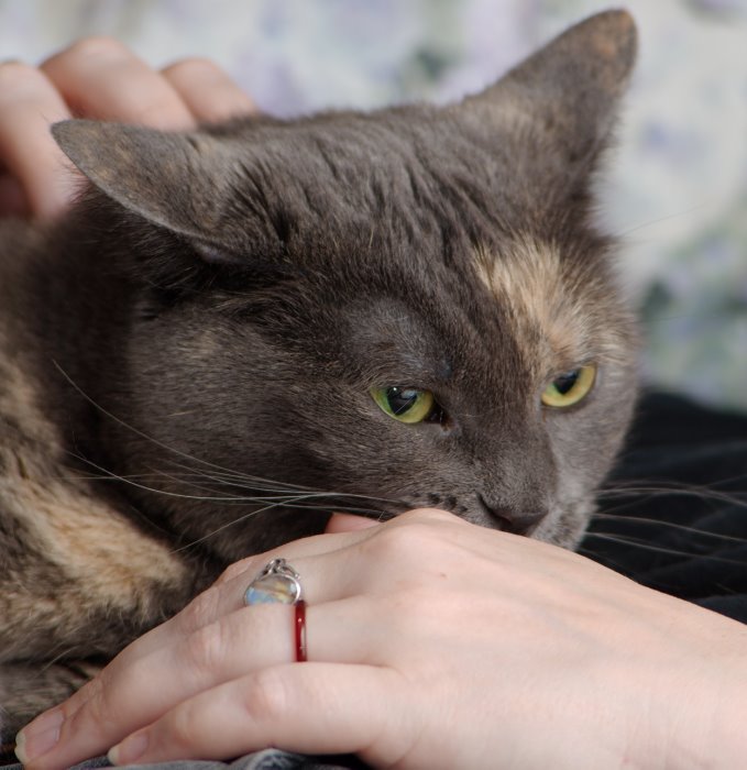 ddb 20070904 010-004