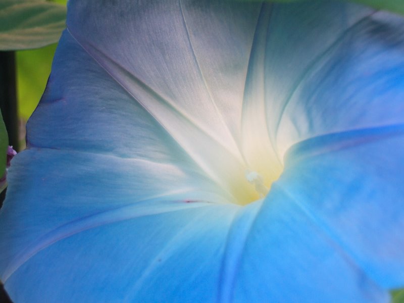 ddb 20071003 010-018