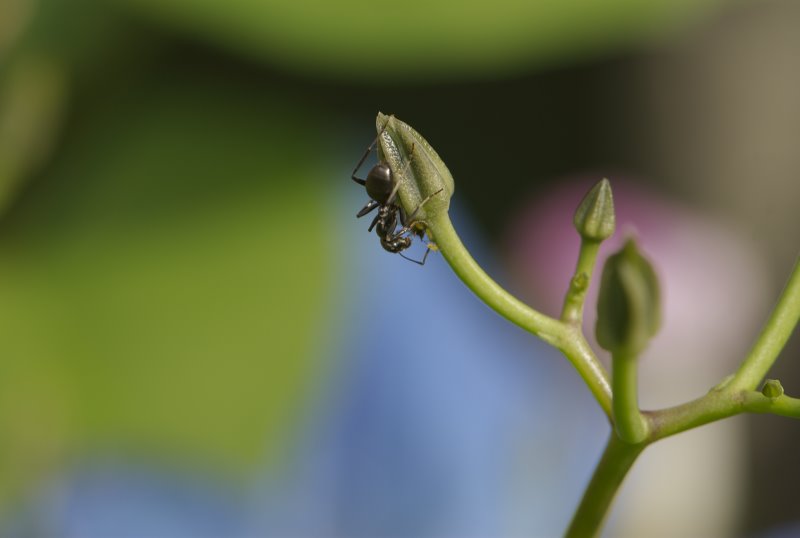 ddb 20071005 010-064