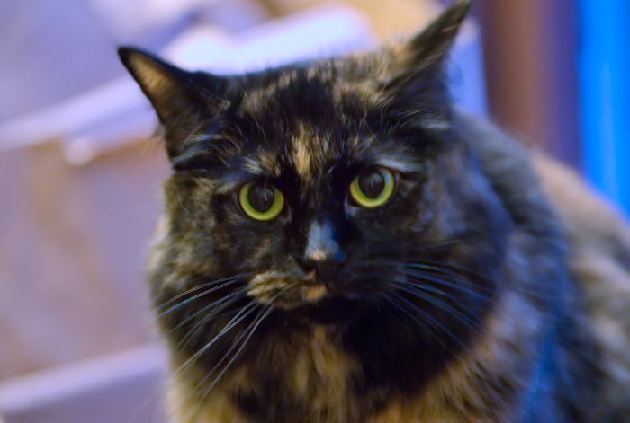 ddb 20071018 010-015