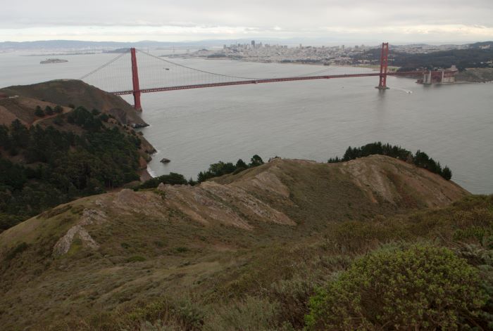 ddb 20071202 010-022