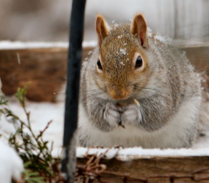 ddb 20071225 010-128