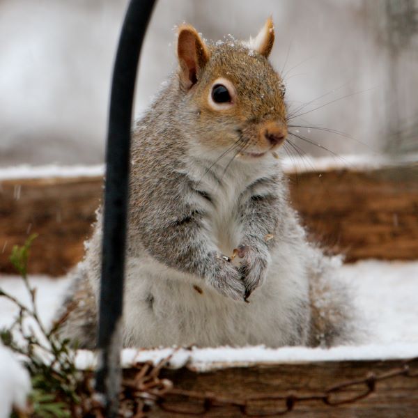 ddb 20071225 010-139