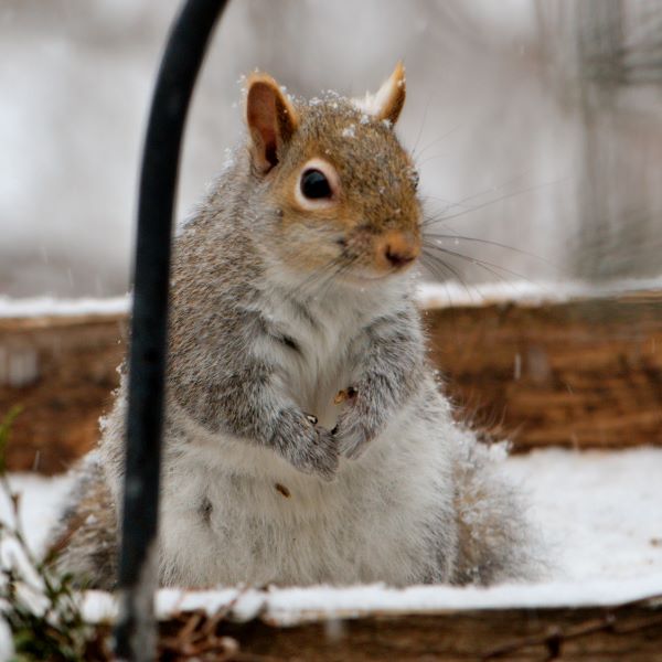 ddb 20071225 010-141