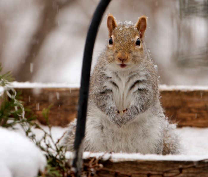 ddb 20071225 010-143