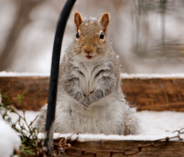 ddb 20071225 010-144