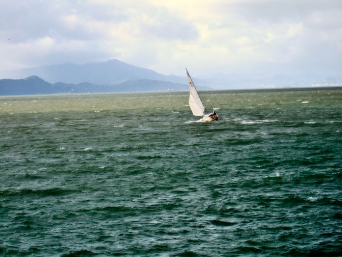 ddb 20080203 010-001