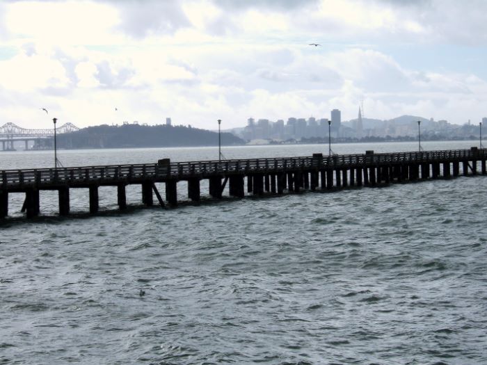 ddb 20080203 010-003