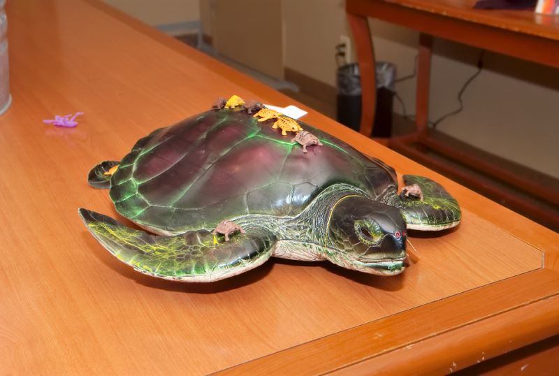 ddb 20080320 010-012