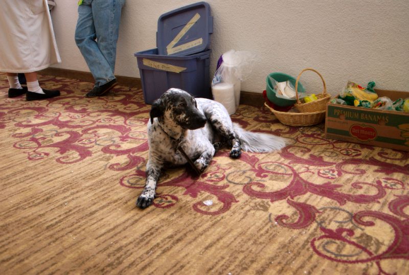 ddb 20080323 010-006