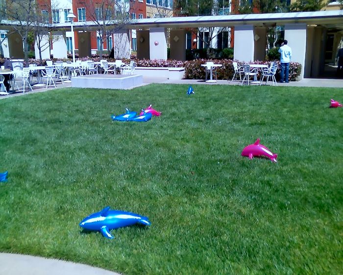 ddb 20080401 010-010