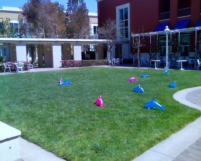 ddb 20080401 010-012