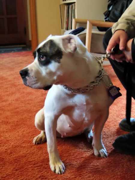 ddb 20080419 010-001