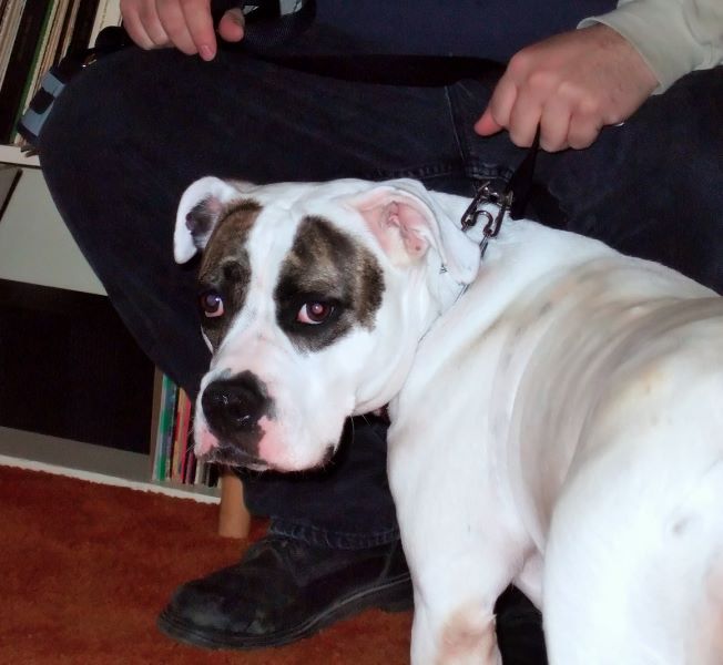 ddb 20080419 010-008