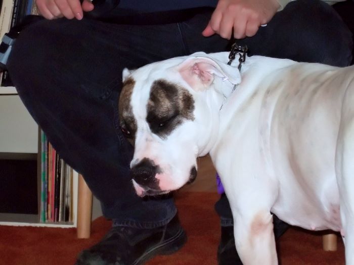 ddb 20080419 010-009