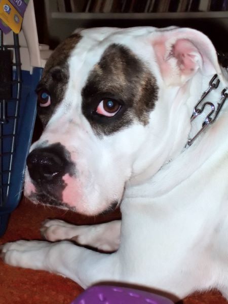 ddb 20080419 010-010