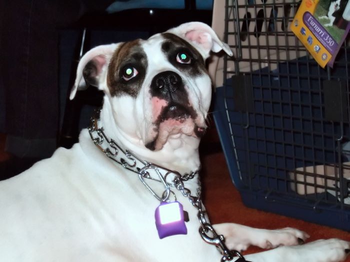 ddb 20080419 010-013