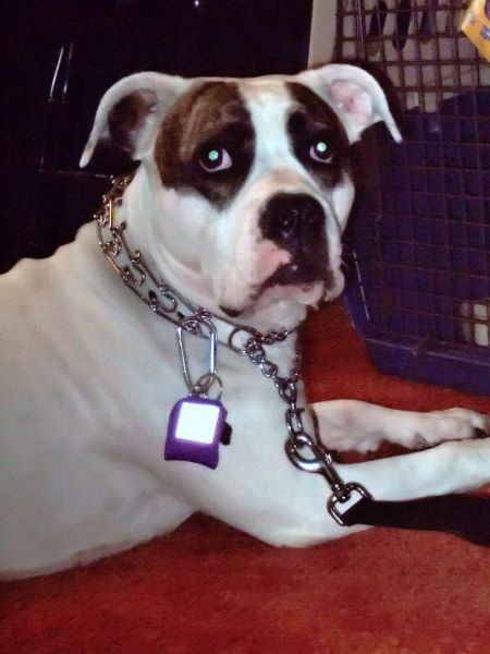 ddb 20080419 010-015