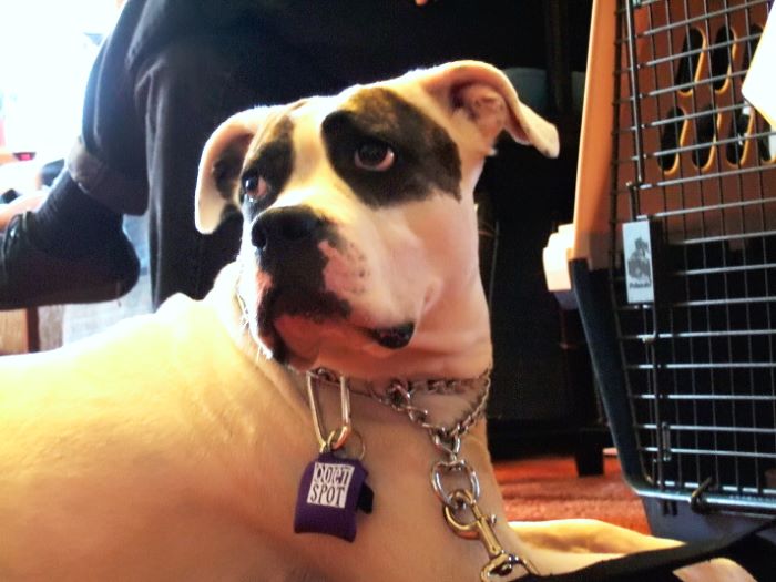 ddb 20080419 010-016