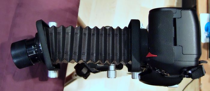 ddb 20080511 005-005