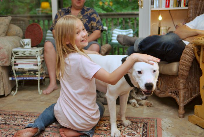 ddb 20080608 020-001