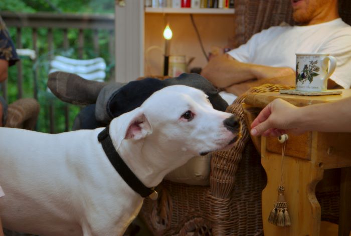 ddb 20080608 020-003