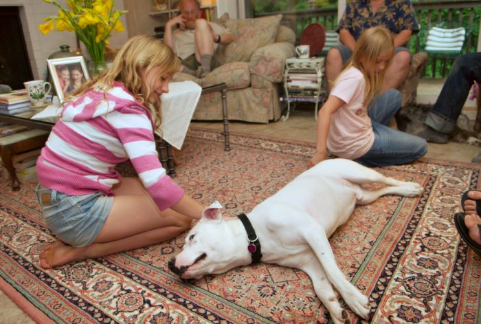 ddb 20080608 020-004