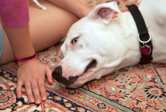 ddb 20080608 020-006