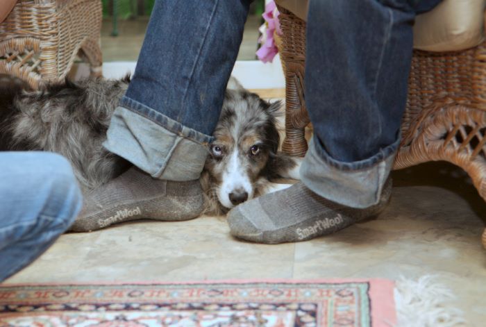 ddb 20080608 020-008