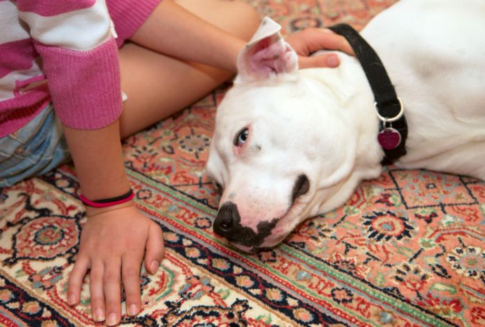 ddb 20080608 020-009