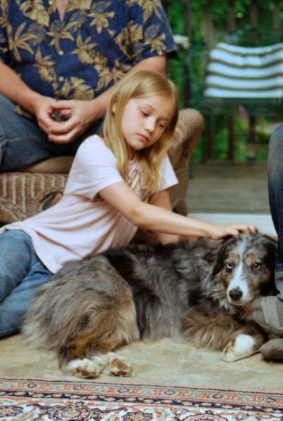 ddb 20080608 020-012