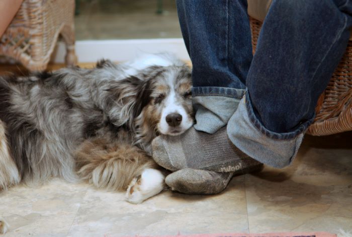 ddb 20080608 020-015