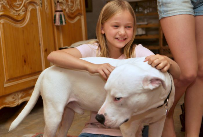 ddb 20080608 020-026