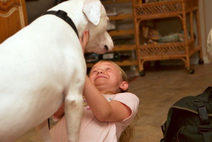 ddb 20080608 020-028