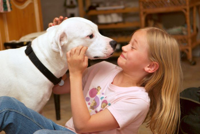 ddb 20080608 020-030